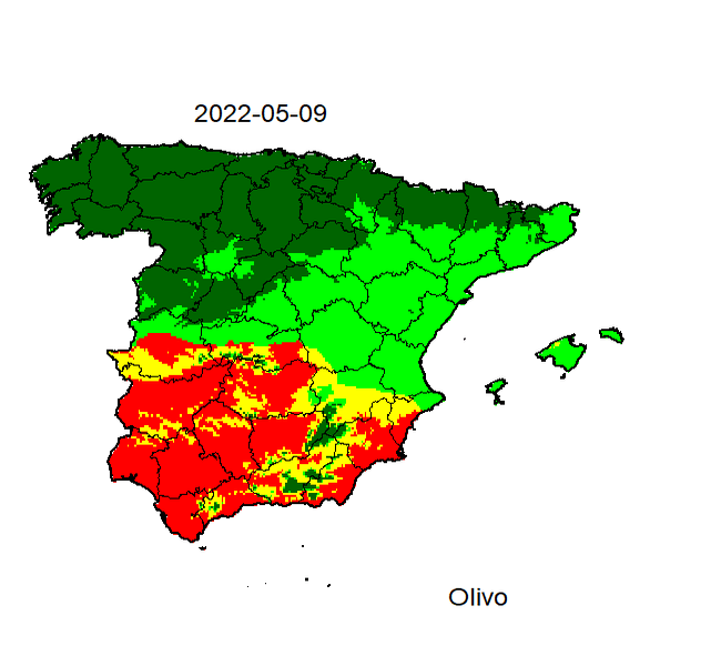 Mapa de nivel de olivo para los próximos días.