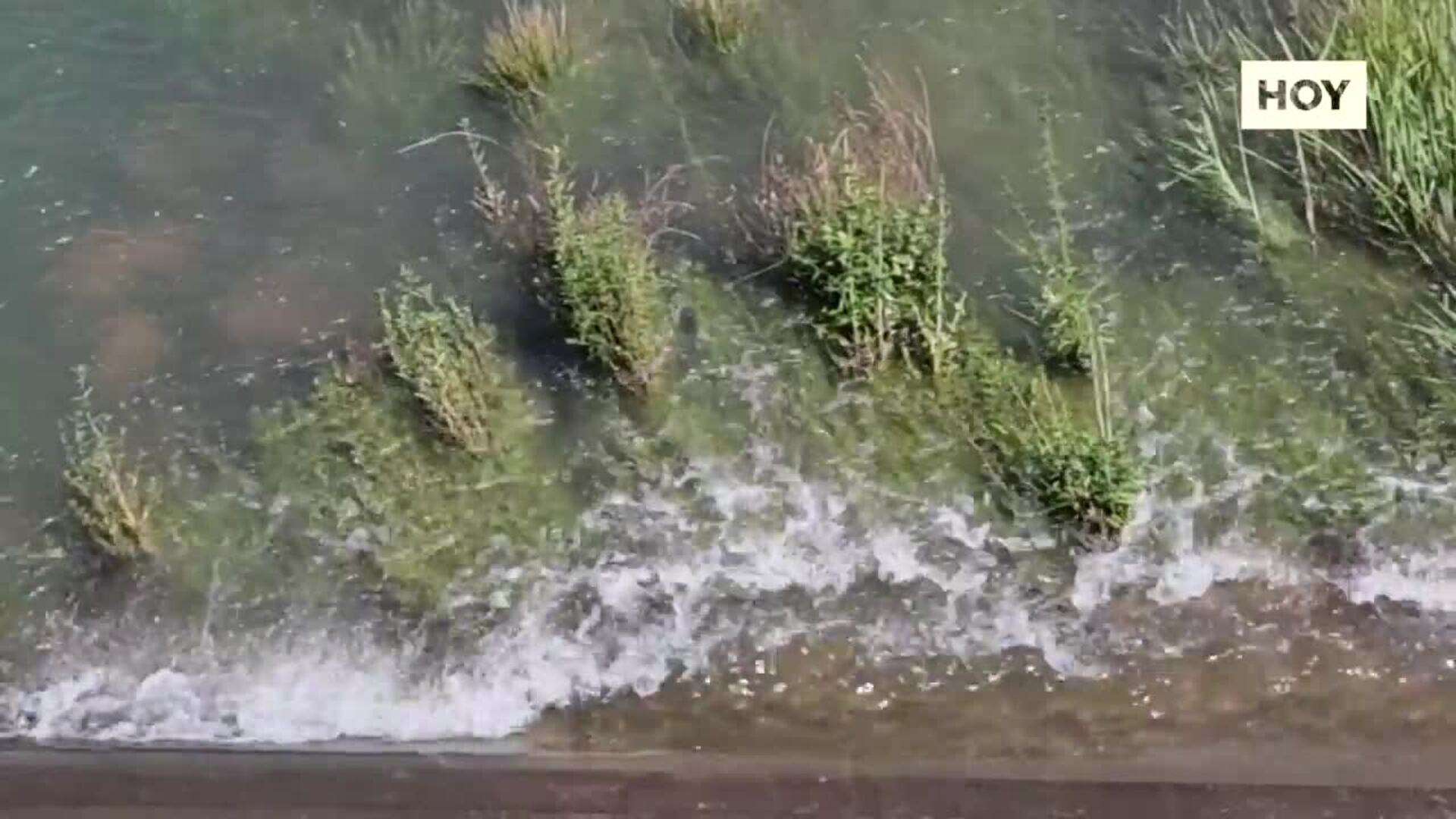 ​Cuatro embalses del Guadiana sueltan ​agua para asegurar los cultivos y el abastecimiento