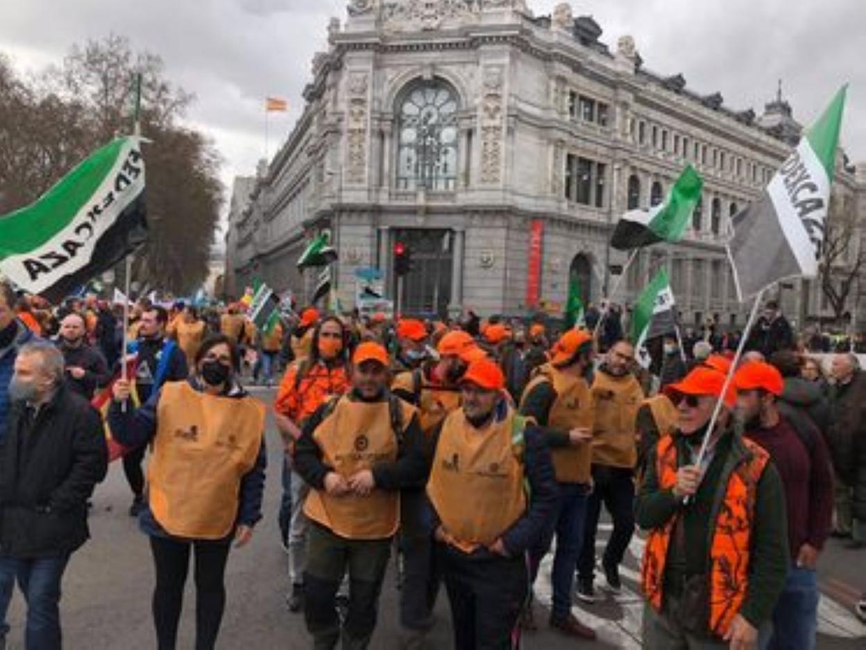 El 20M ha logrado parar el intento de declarar la codorniz como especie en peligro de extinción.