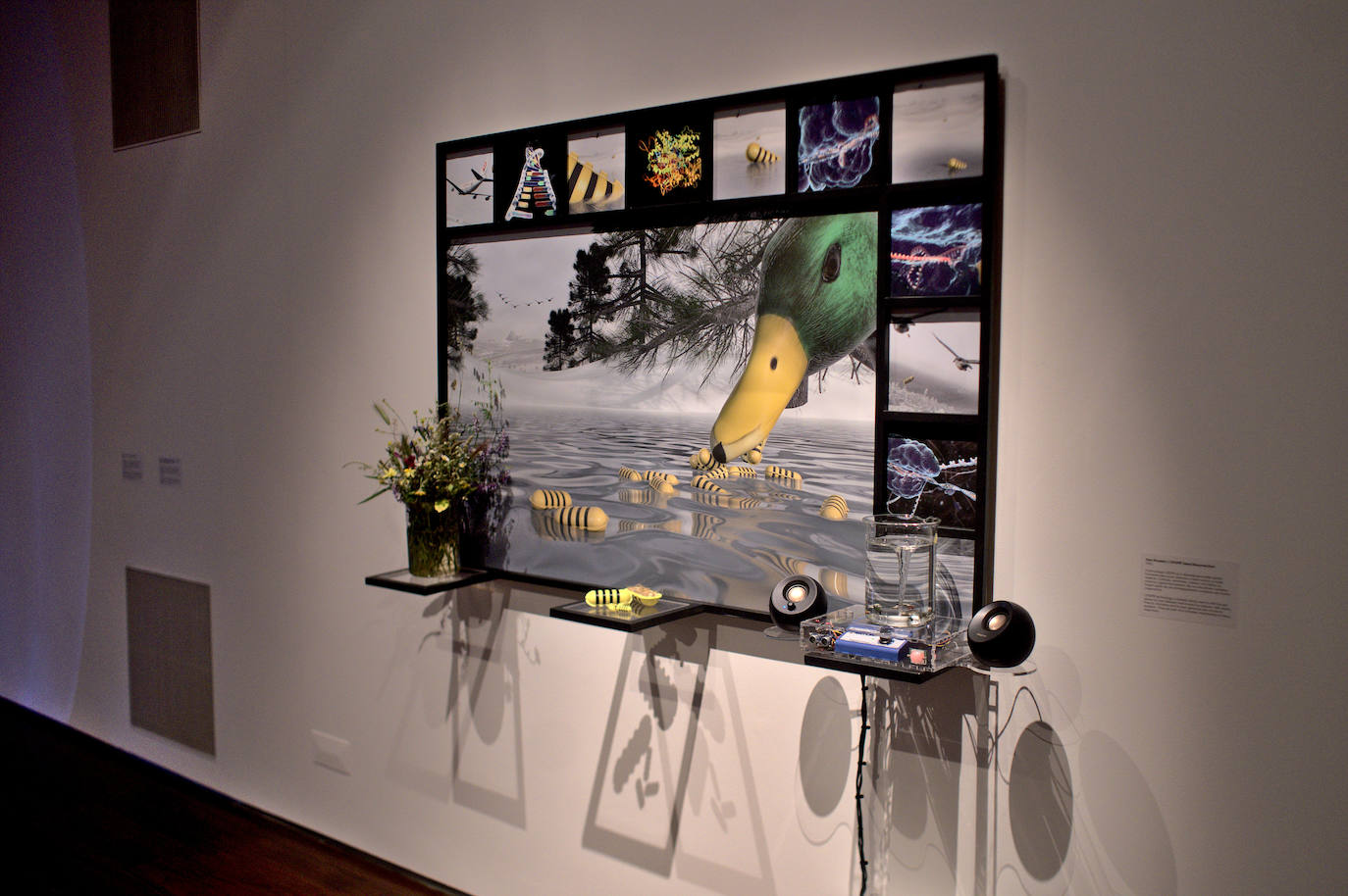 Una de las instalaciones del proyecto.