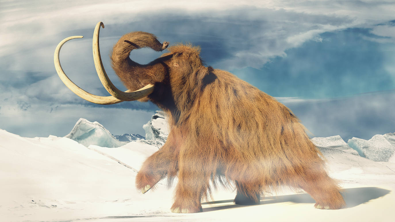 Imagen principal - Animales de distintos periodos prehistóricos: mamut lanudo, bunostegos y dinosaurio.