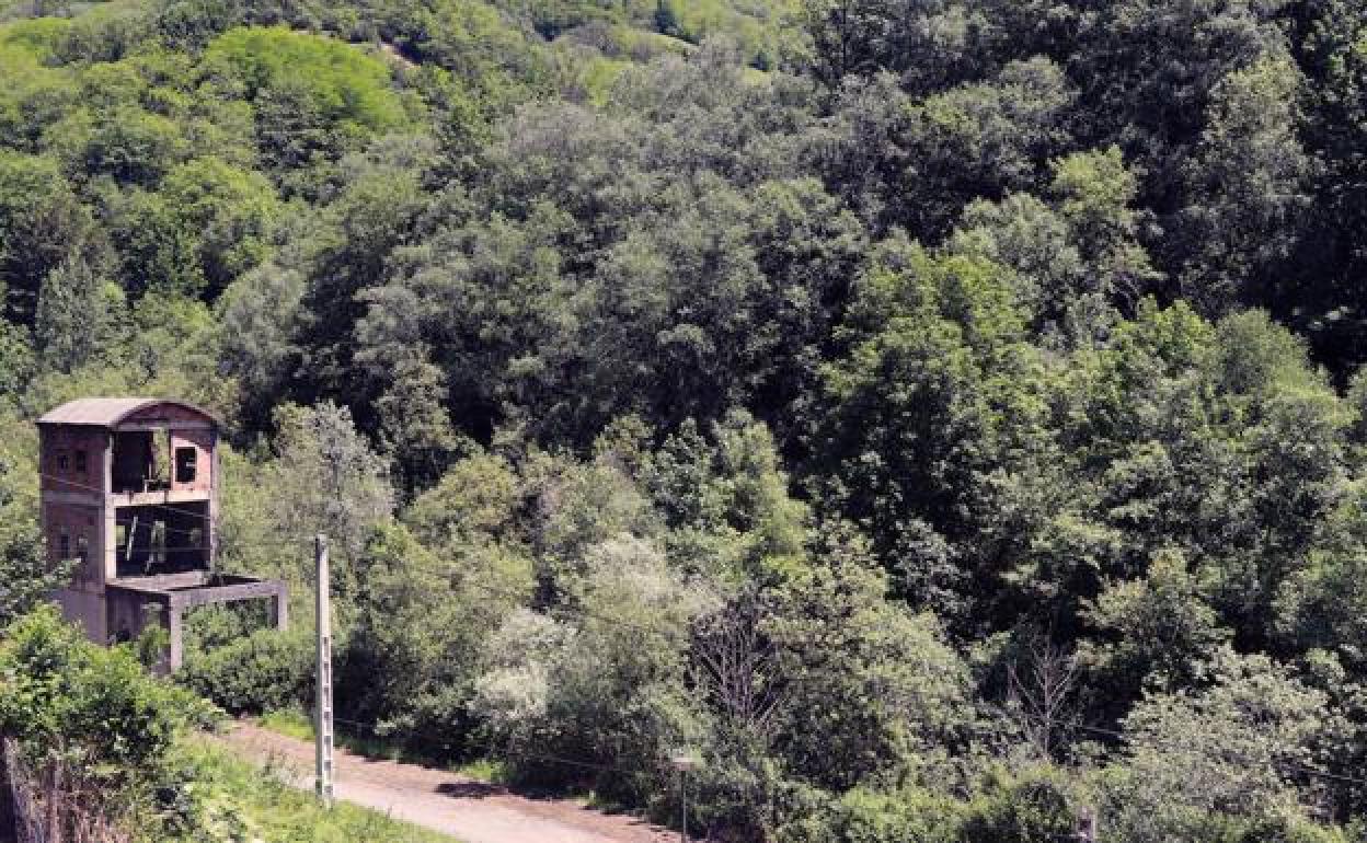 La zona de Los Pontones, en Mieres, donde encontraron los huesos