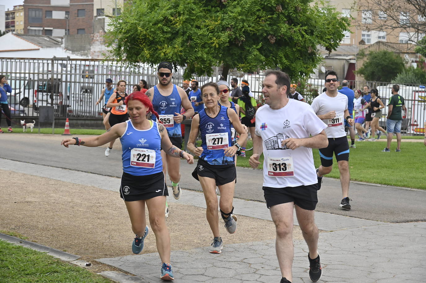 Fotos: FIesta en la VI Carrera por la Diversidad &#039;Los Palomos-Aqualia&#039; de Badajoz