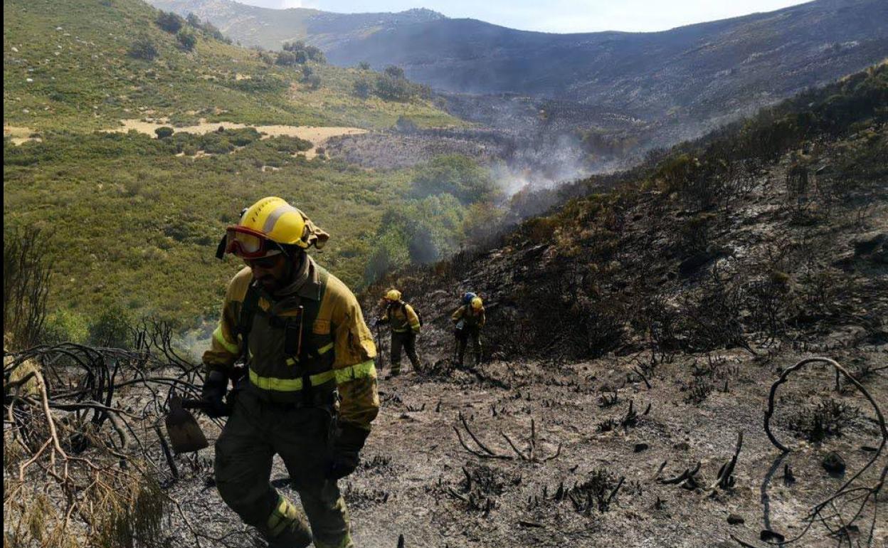 Bomberos forestales del Plan Infoex en una intervención en Cabezuela del Valle. 