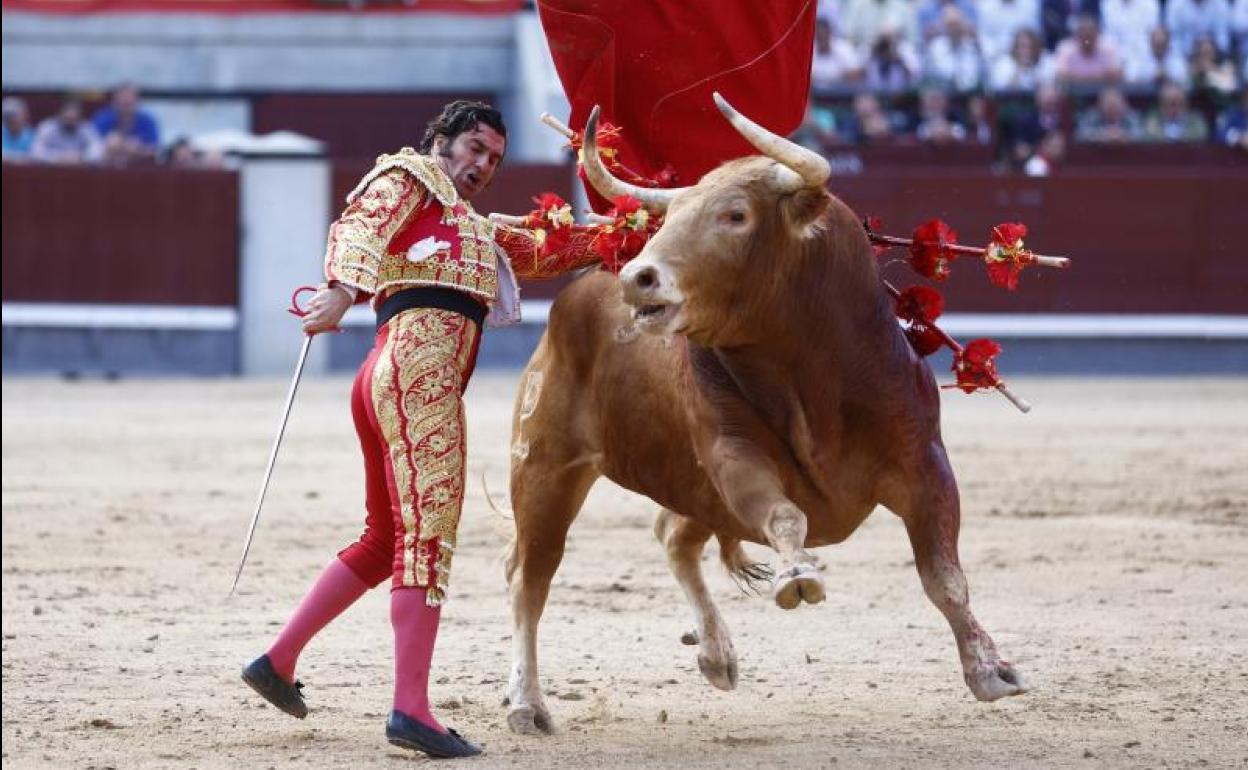 El diestro Morante de la Puebla da un pase a un toro durante la corrida de la Beneficencia de la feria de San Isidro.