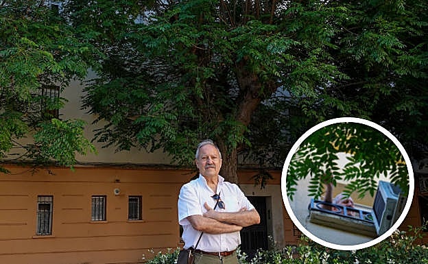 Gerardo Barrientos con los árboles en la venta de su casa. 