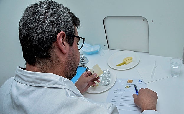 Un catador experto saboreando un queso de la DOP Los Ibores este viernes