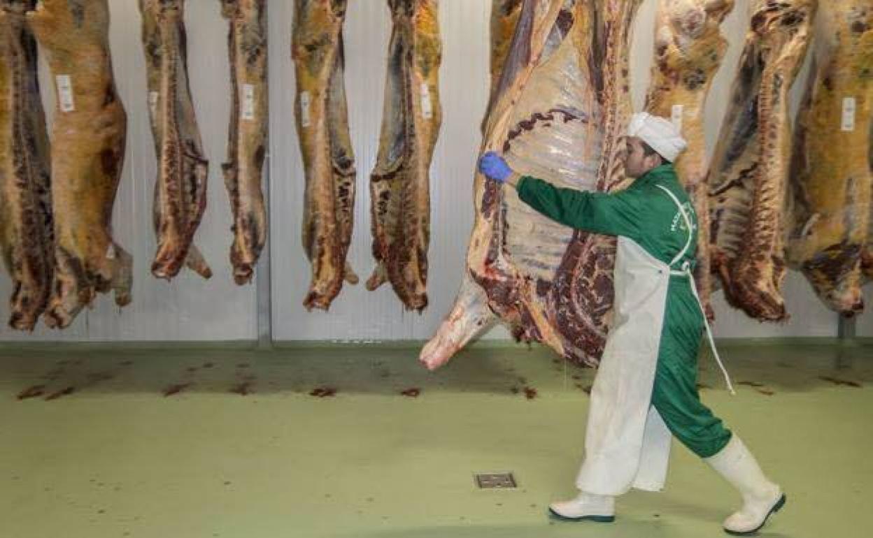 El matadero de Olivenza cerró sus puertas por última vez en el año 2019.