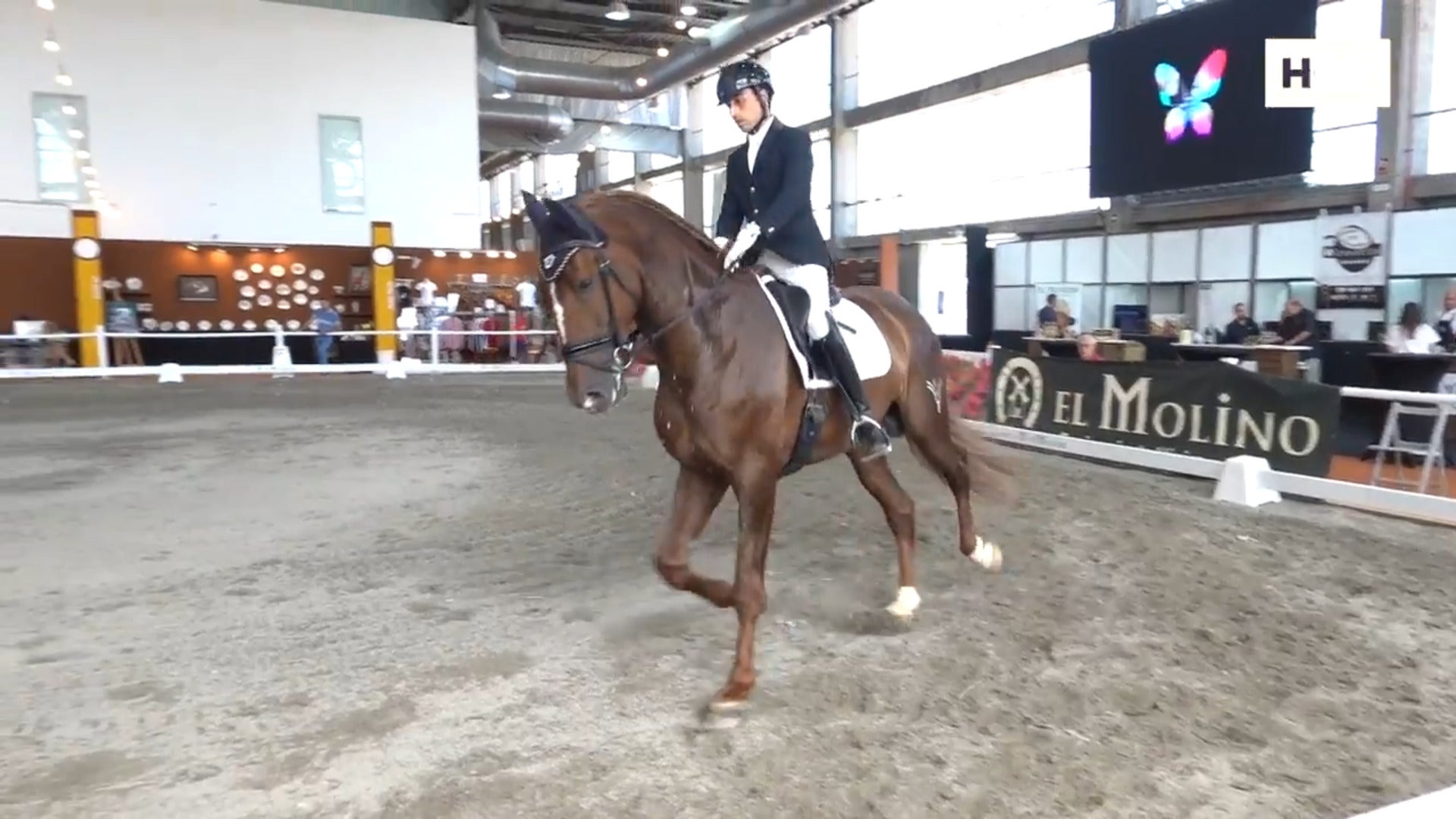 Arranca la XIII edición de Ecuextre