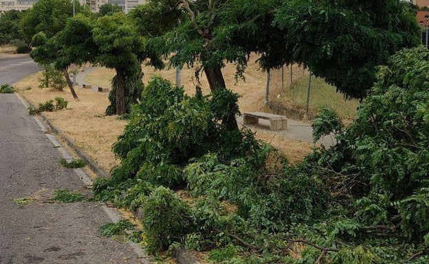 Desperfectos causados por las rachas de viento en el residencial Gredos.
