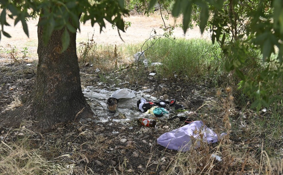 Botellas, bolsas de basura y cristales bajo un árbol de El Pico. 