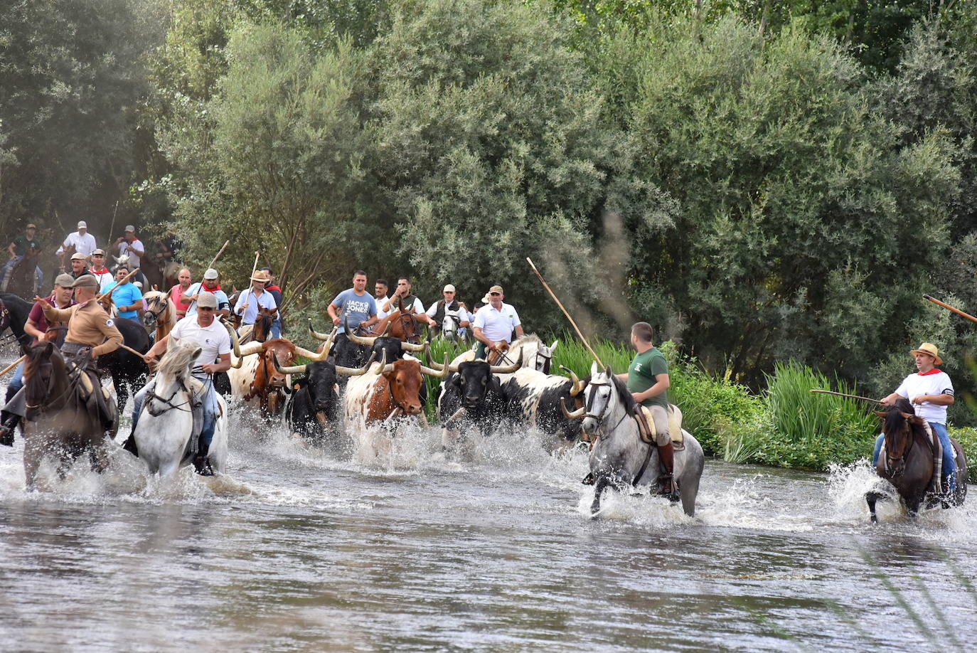 Fotos: Capeones y caballistas vadean el río Alagón