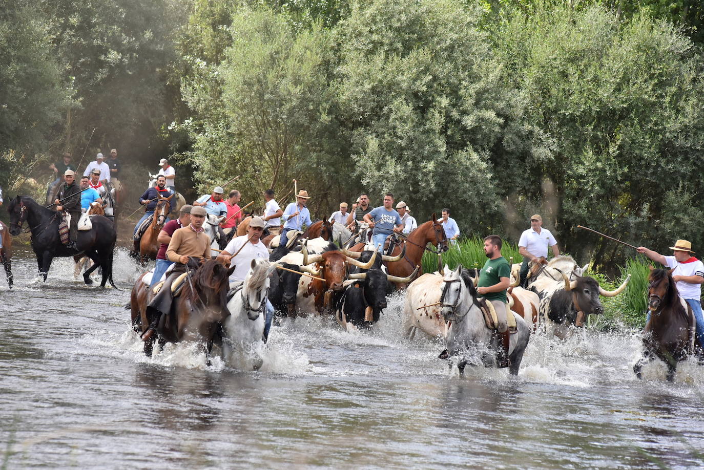 Fotos: Capeones y caballistas vadean el río Alagón