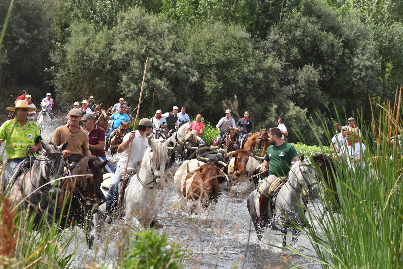 Fotos: Capeones y caballistas vadean el río Alagón