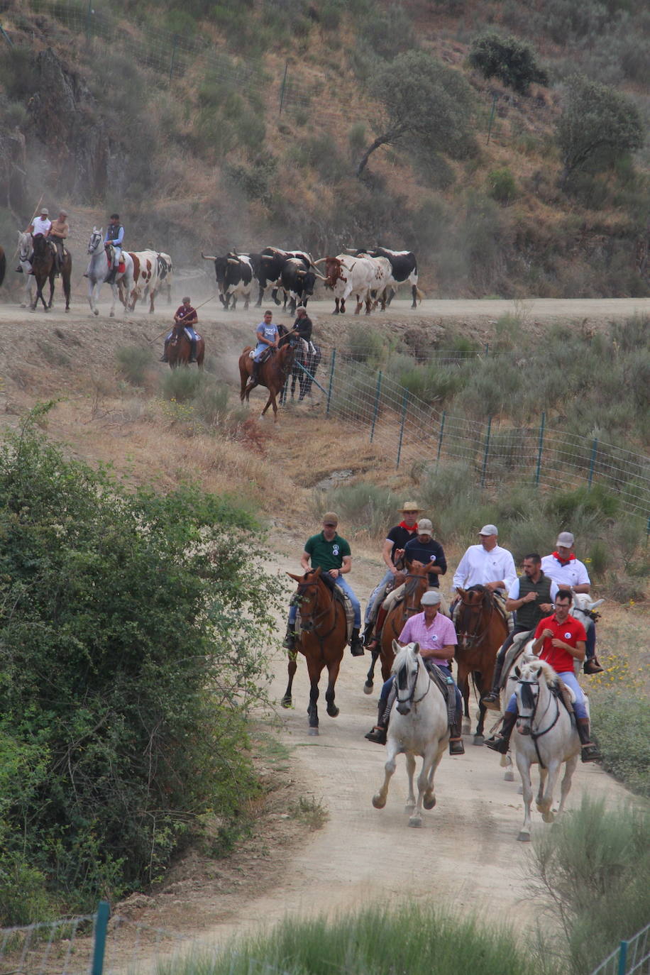 Fotos: Capeones y caballistas vadean el río Alagón