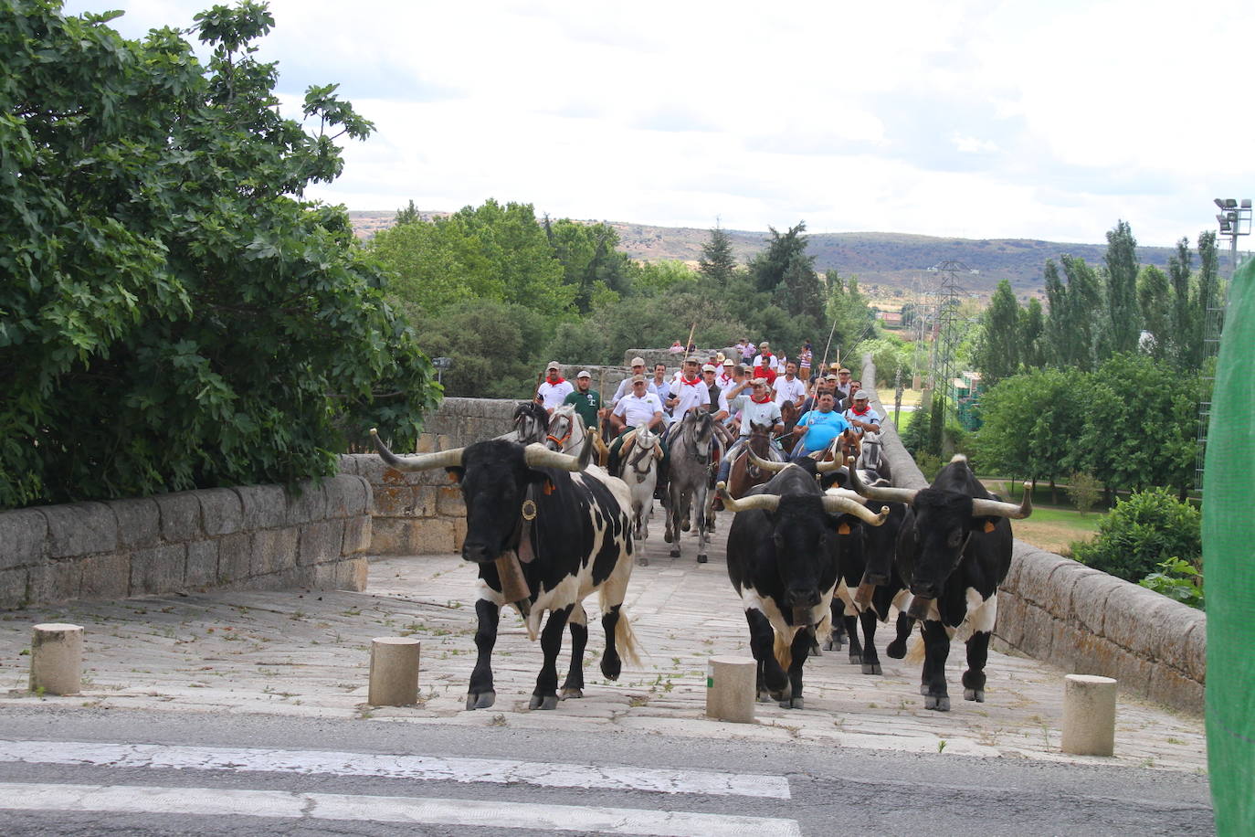 Fotos: Capeones y caballistas vadean el río Alagón