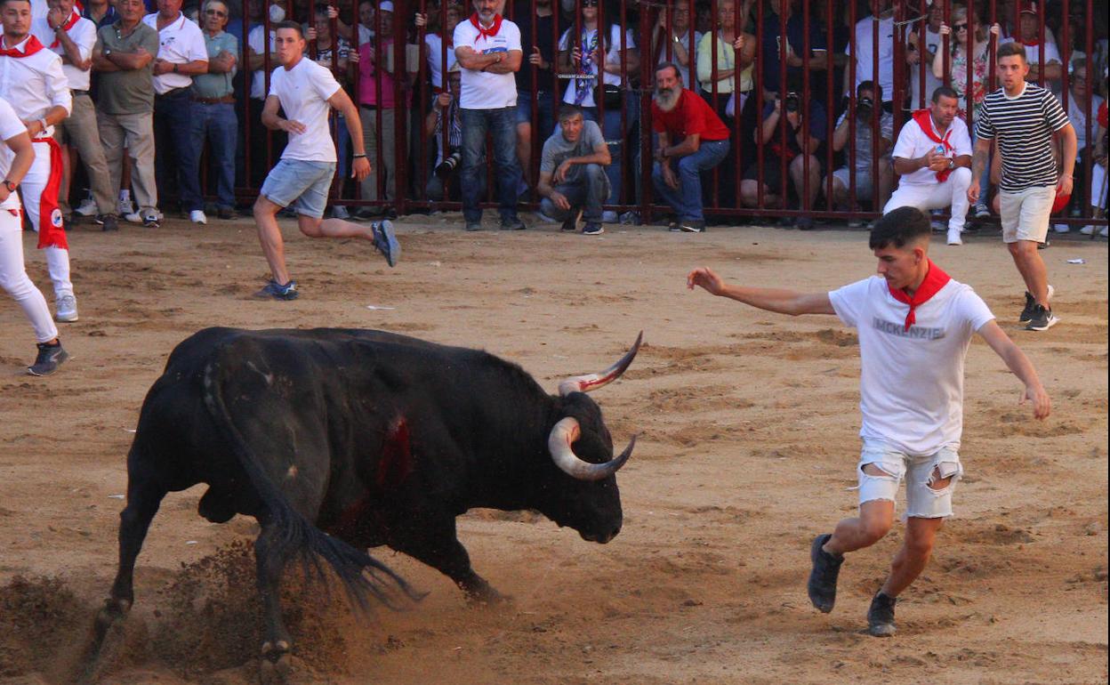 'Lastimero' decepciona a las calles de Coria