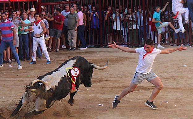 La Junta de Defensa triunfa también con el toro de la tarde 