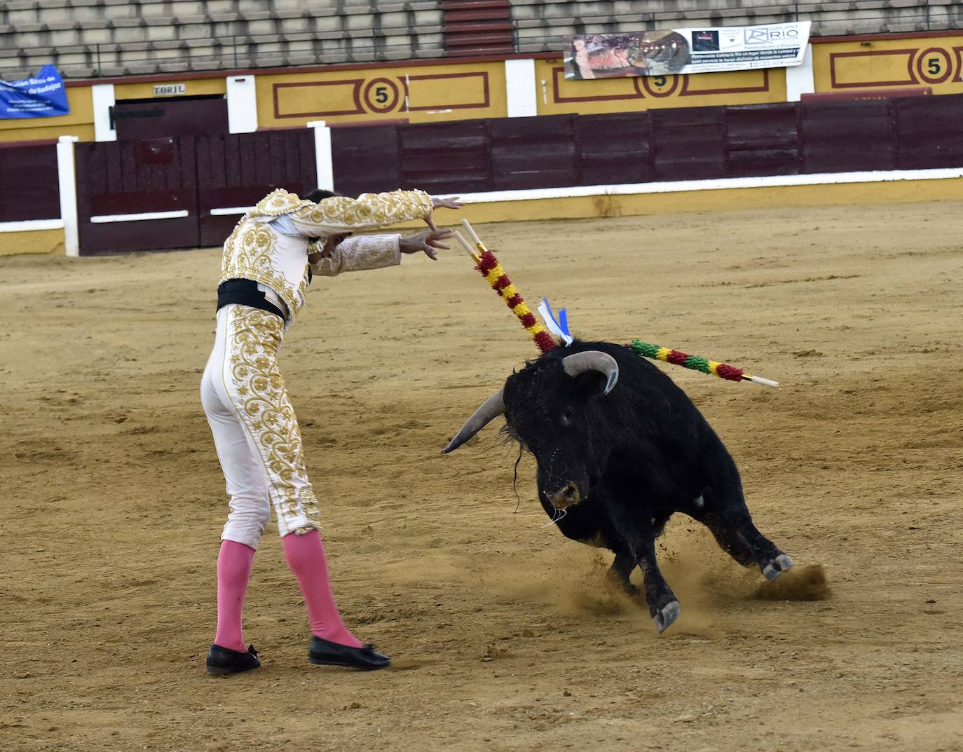 Fotos: Una excepcional novillada de Marca cierra la feria taurina de Badajoz