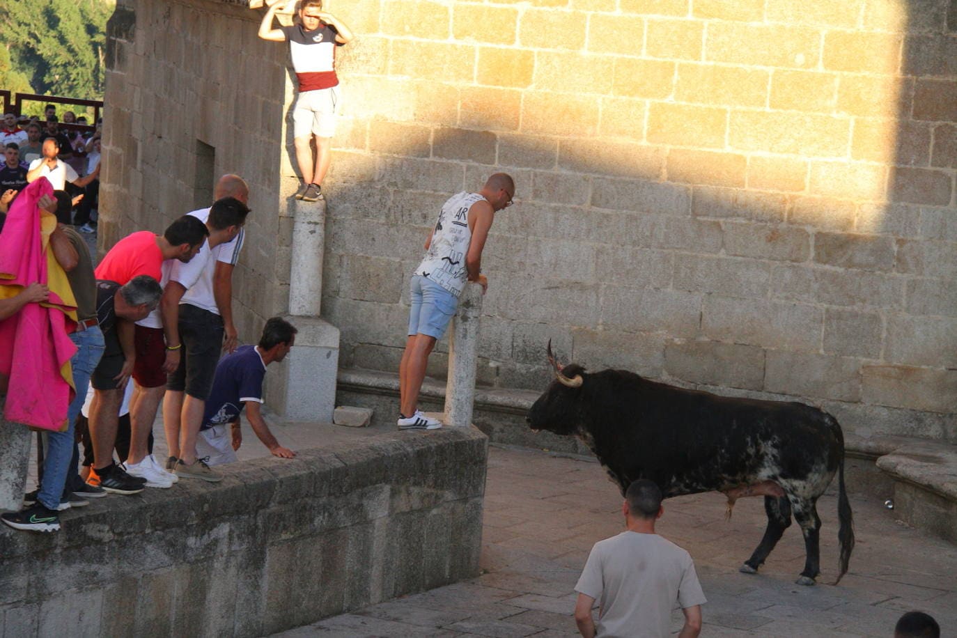 Encierro y lidia de 'Descuidao', el toro de la Peña El 27. 