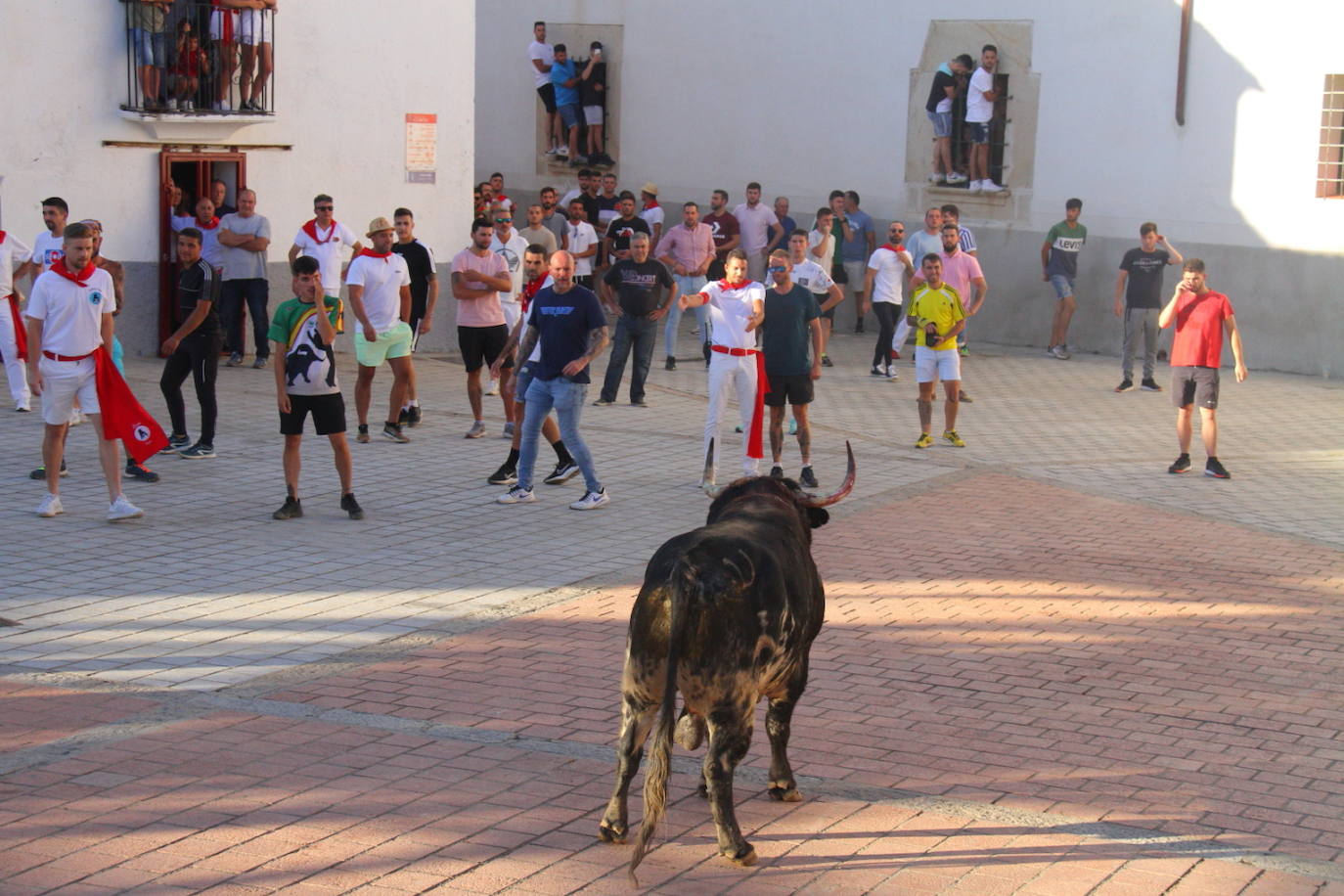 Encierro y lidia de 'Descuidao', el toro de la Peña El 27. 