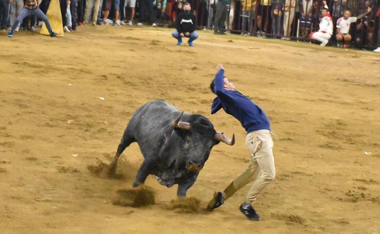 Gran actuación de 'Dichoso' en la última noche de los Sanjuanes de Coria