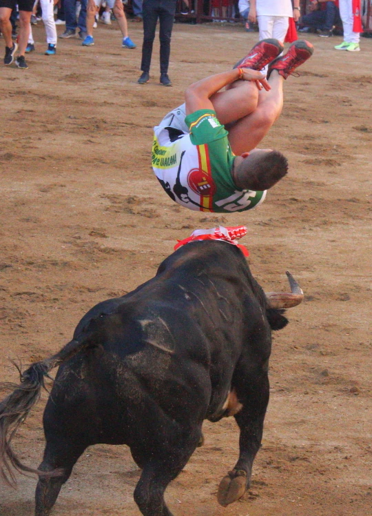 Lidia del toro de la Asociación Peña La Geta