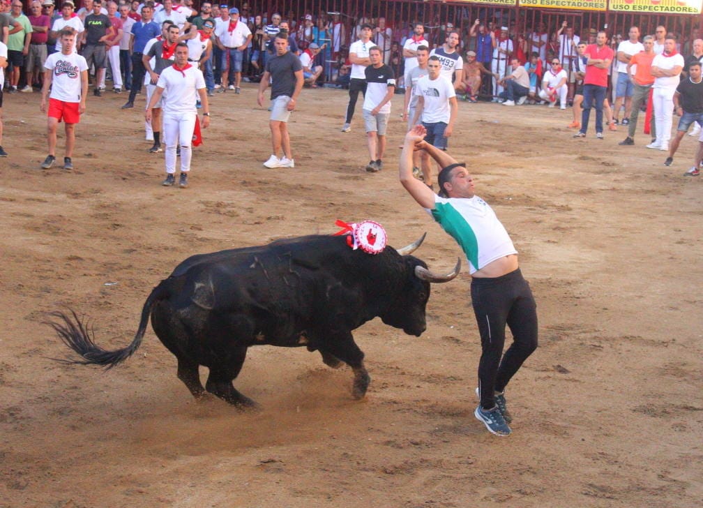 Lidia del toro de la Asociación Peña La Geta