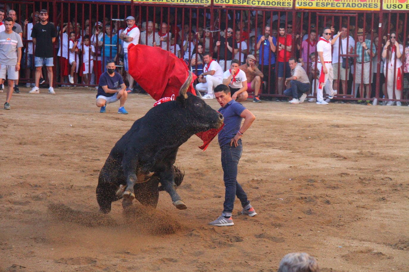 Lidia del toro de la Asociación Peña La Geta