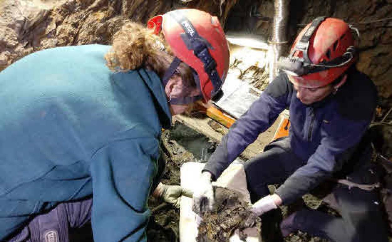 Trabajos de exhumación de restos en la mina Terría de Valencia de Alcántara.