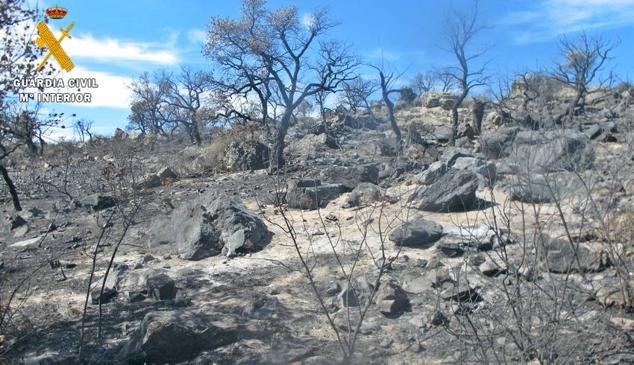 Incendio de Villar de Rena.