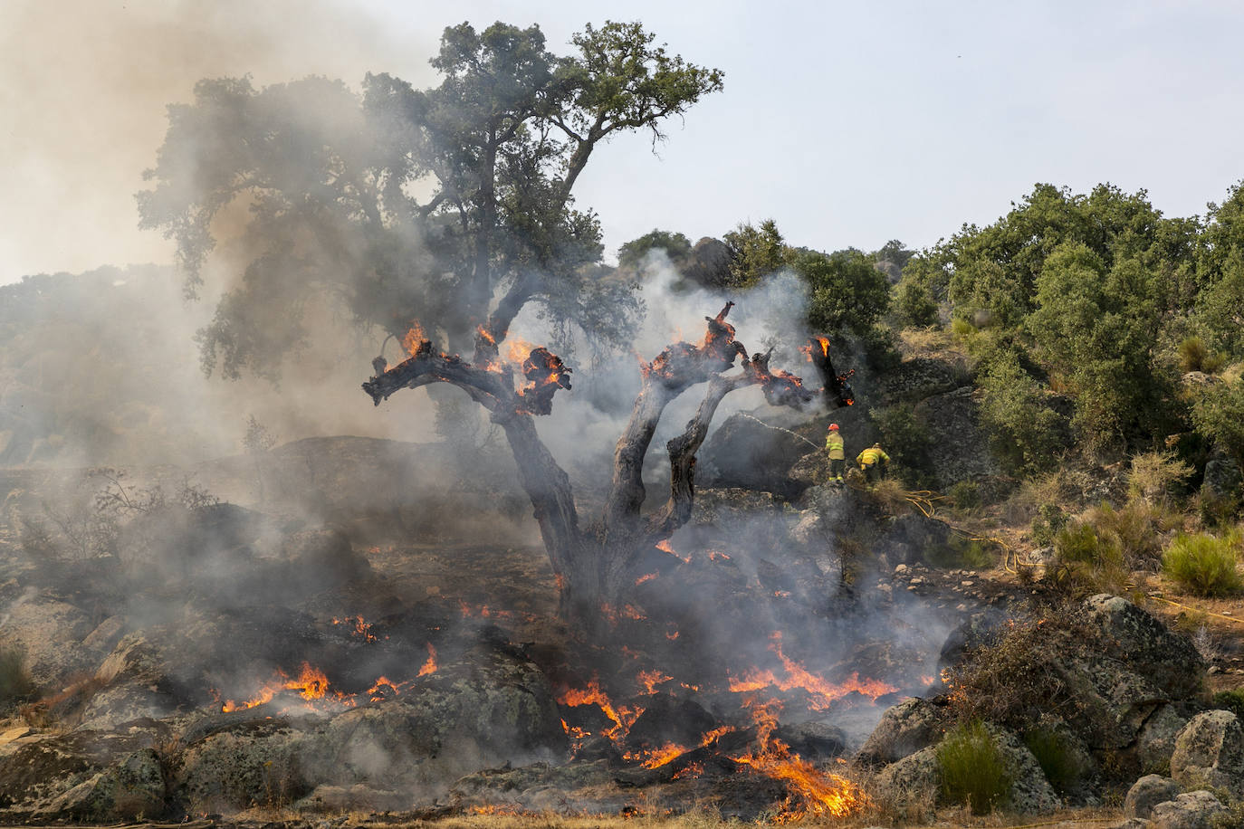 Fotos: Fuego en el monte público de Valcorchero
