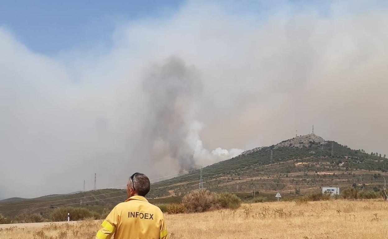 Columna de humo que se ve desde el término municipal de Jaraicejo. 