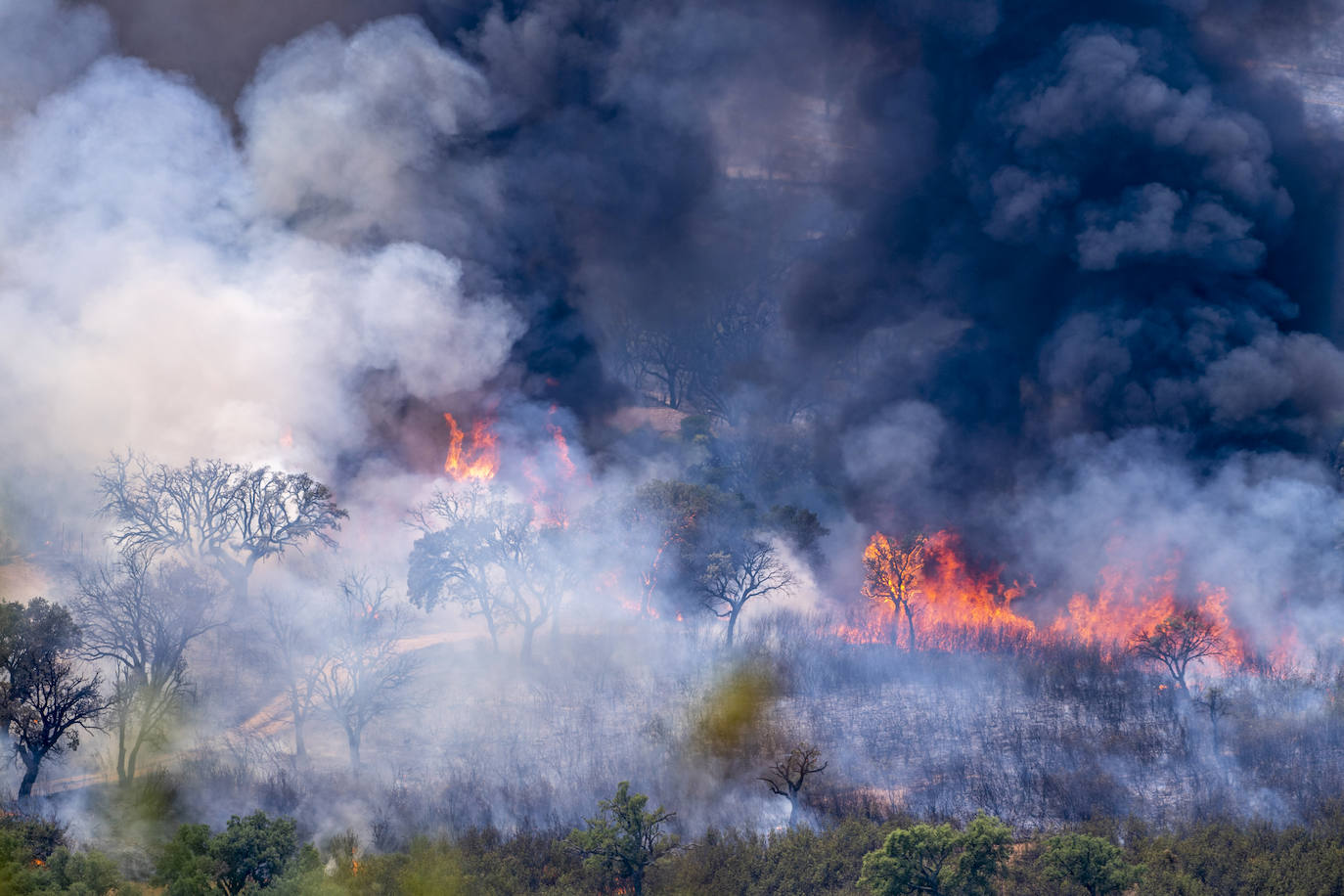 Incendio activo en la zona de Deleitosa