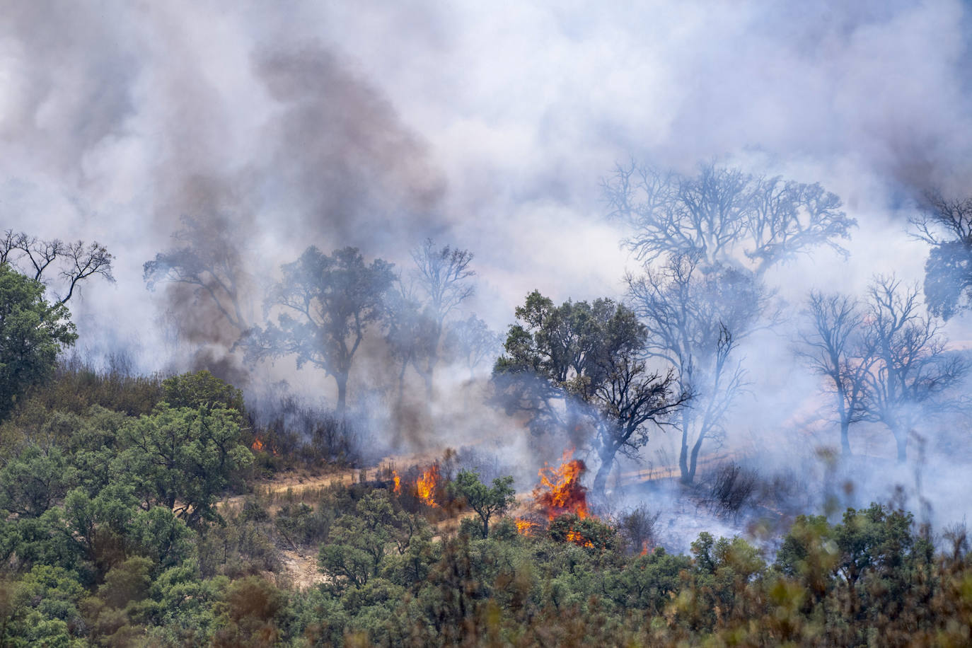 Incendio activo en la zona de Deleitosa