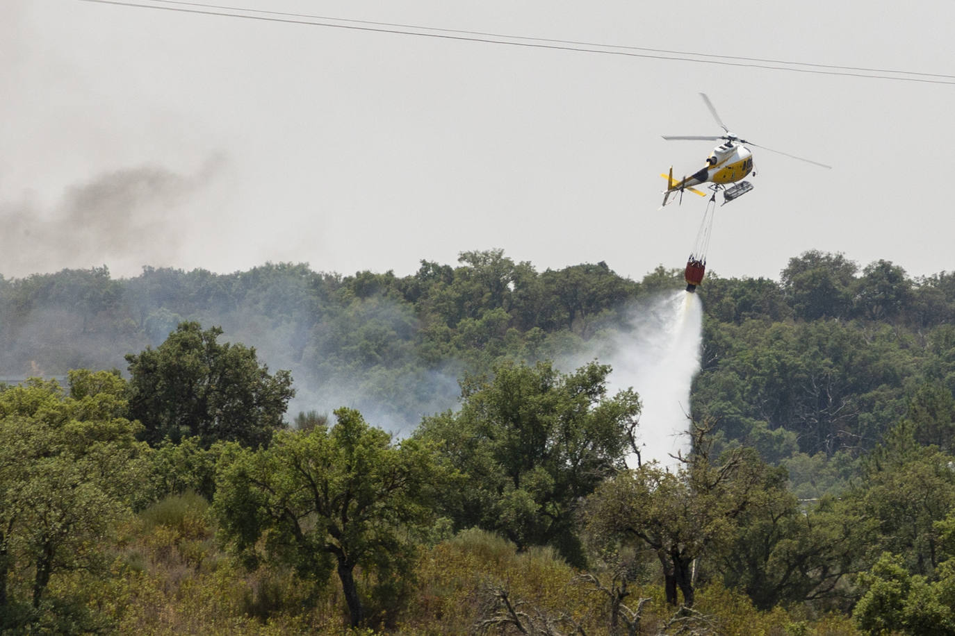 Fotos: Los incendios forestales que asolan Extremadura este sábado, en imágenes