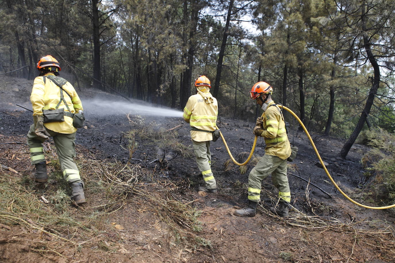 Fotos: El incendio de Sierra de Gata en imágenes