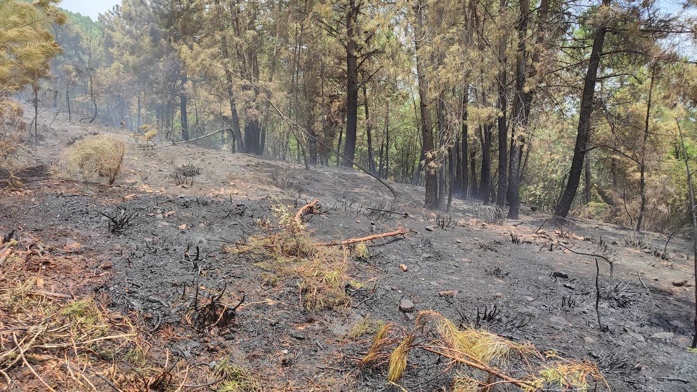 Fotos: El incendio de Sierra de Gata en imágenes