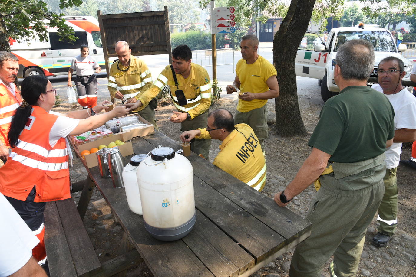 Fotos: Las imágenes del incendio en el Jerte este domingo