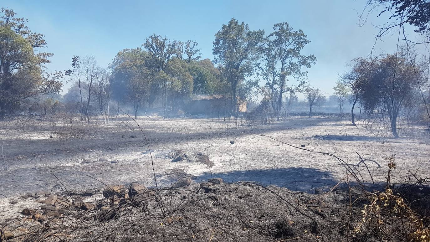 Fotos: Imágenes del incendio que ha tenido lugar este martes en Villanueva de la Vera