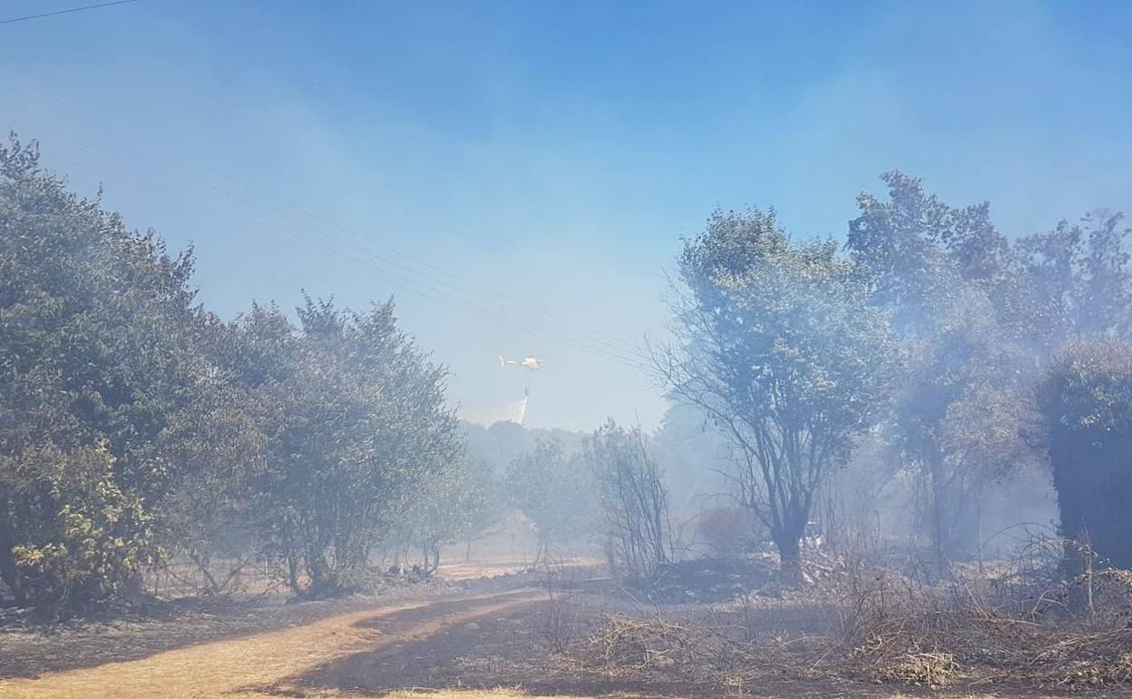 El fuego en Valverde del Fresno ha sido provocado con seis focos