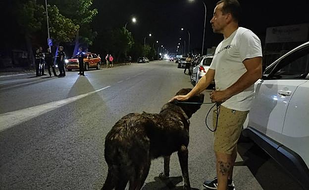 Un voluntario acaricia a uno de los perros tras el incendio.