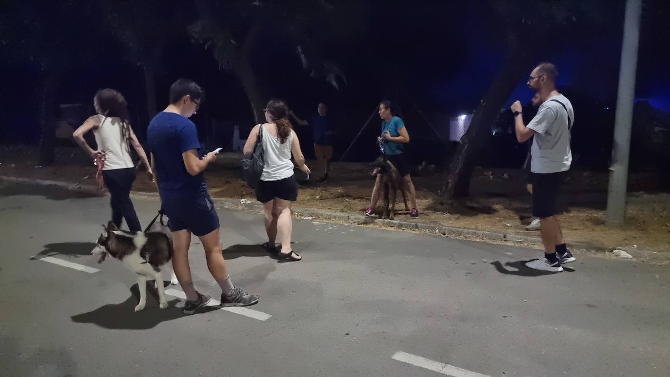 Fotos: Más de cien palmeras del vivero municipal de Mérida se queman en el incendio de El Prado