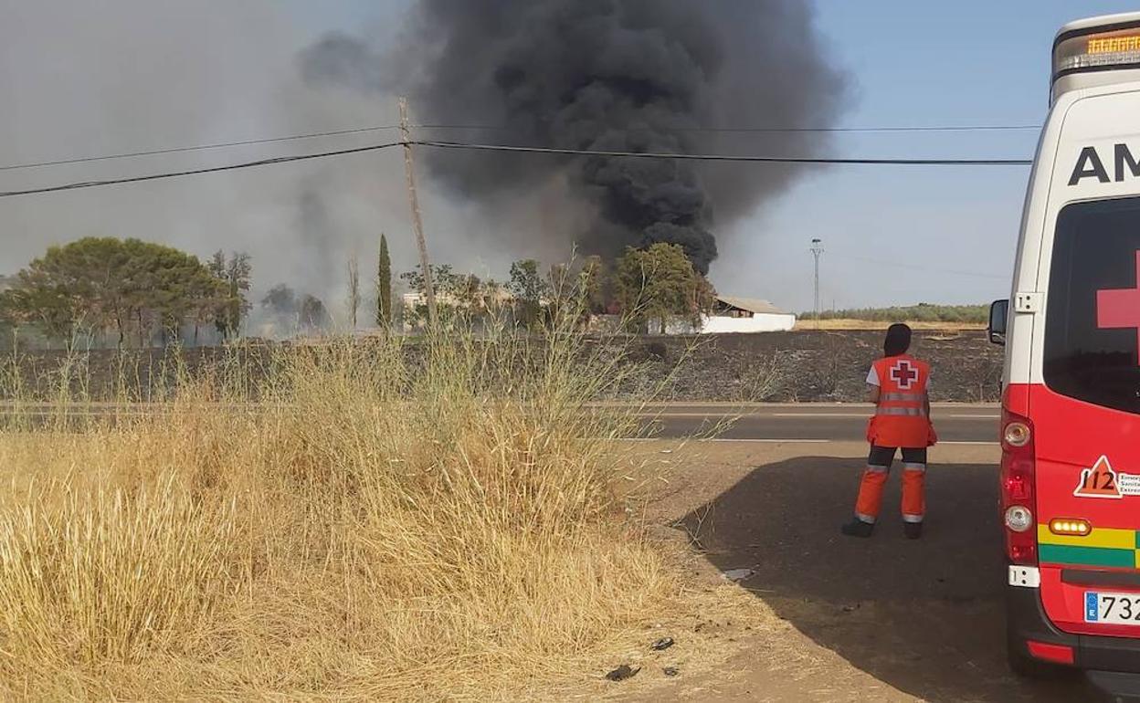 Imagen del incendio localizado en la carretera de Olivenza, en Badajoz. 