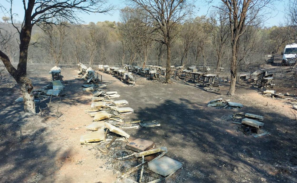 Decenas de colmenas de apicultores extremeños arrasadas por el fuego en la zona de Losacio, en Zamora. 