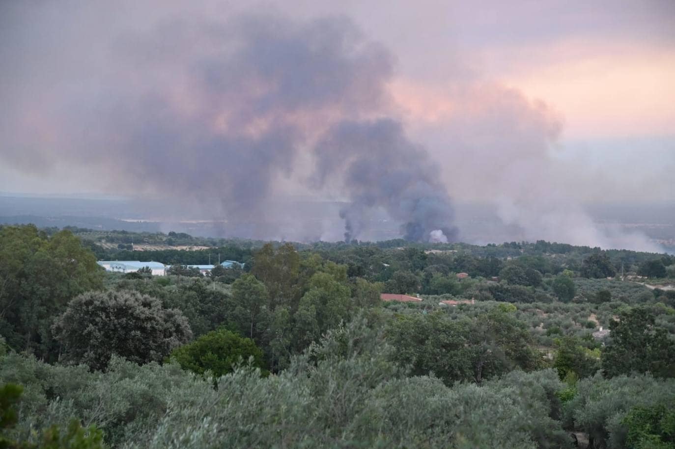 Fotos: Incendio forestal en Villanueva de la Vera 