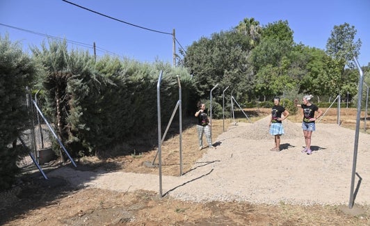 El pequeño refugio que están construyendo. 