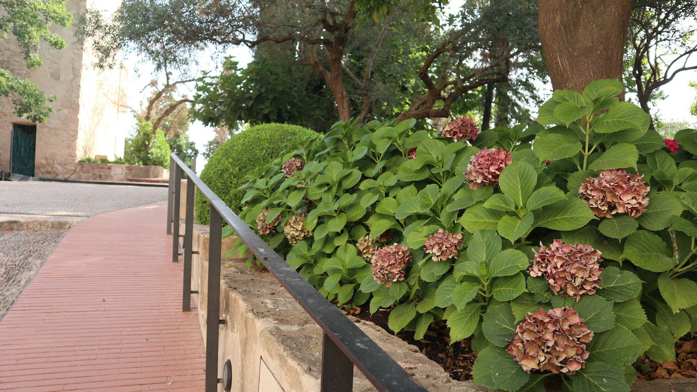 Interior de los Jardines de La Galera. 