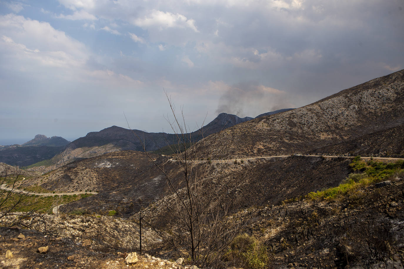 Monte quemado por el incendio forestal en Vall d´Ebo, en la provincia de Alicante.