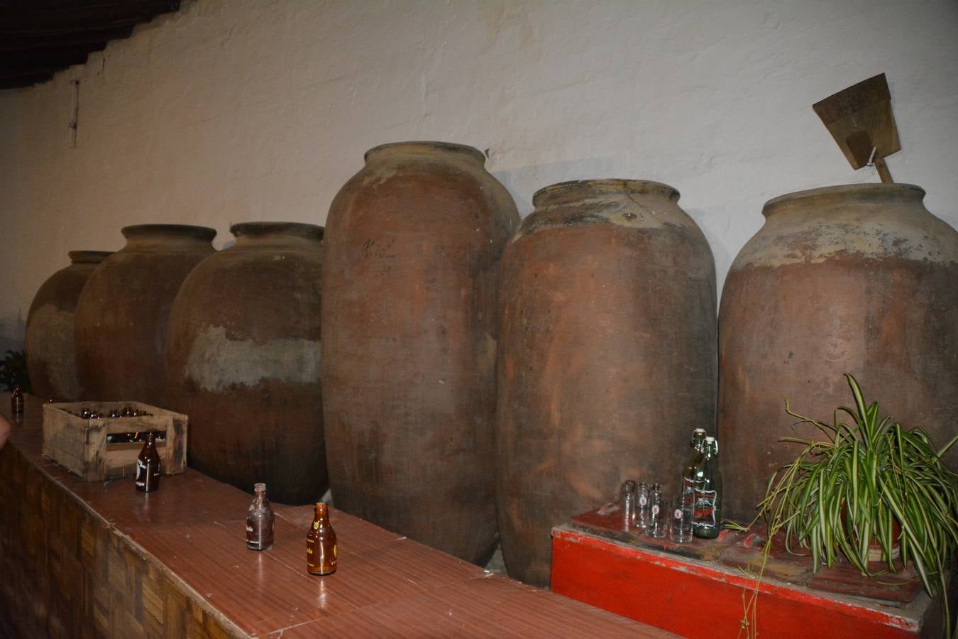 Fotos: Noche en Blanco 2022